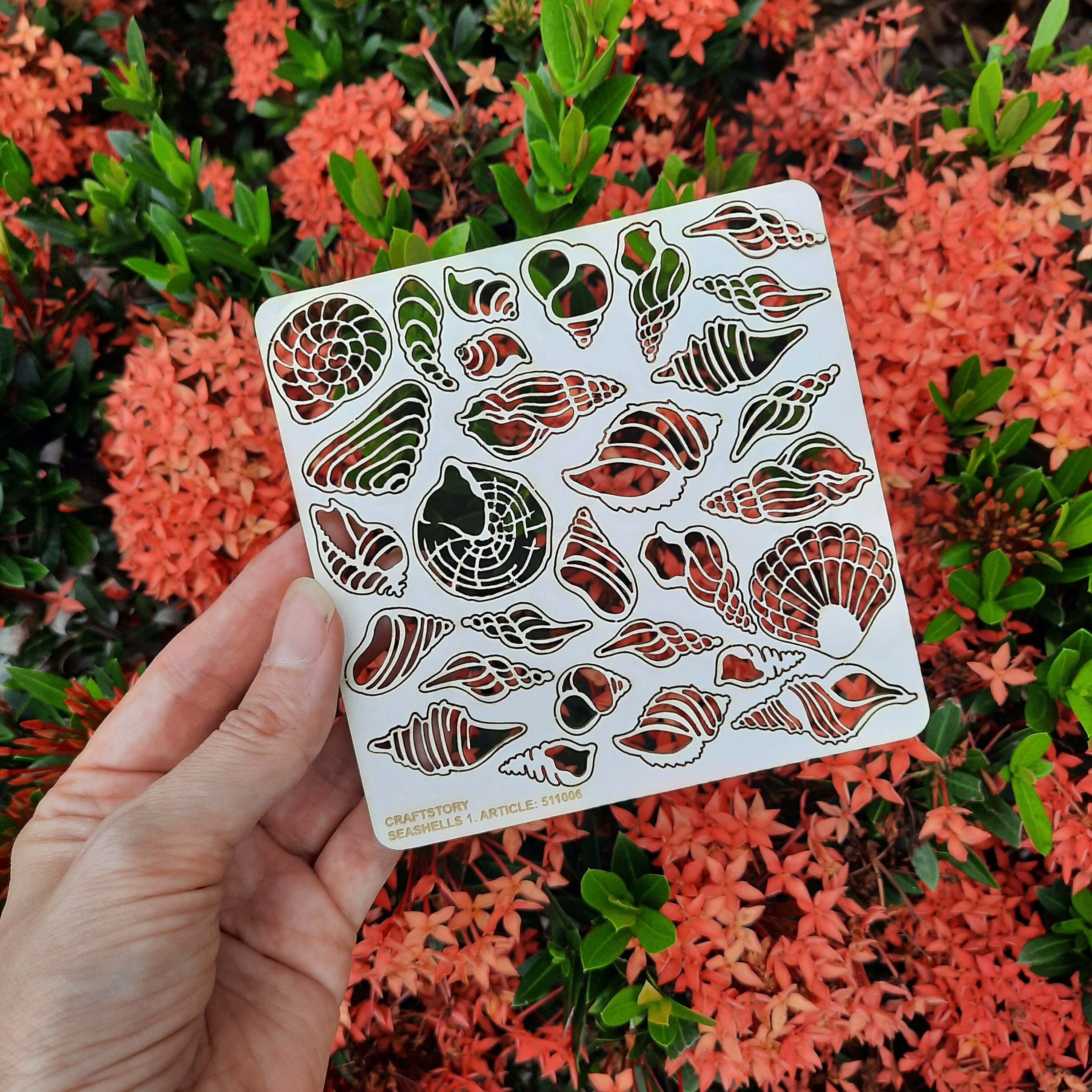 Laser Cut Chipboard - Seashells. Embellishments for Card Making, Scrapbooking and Crafting