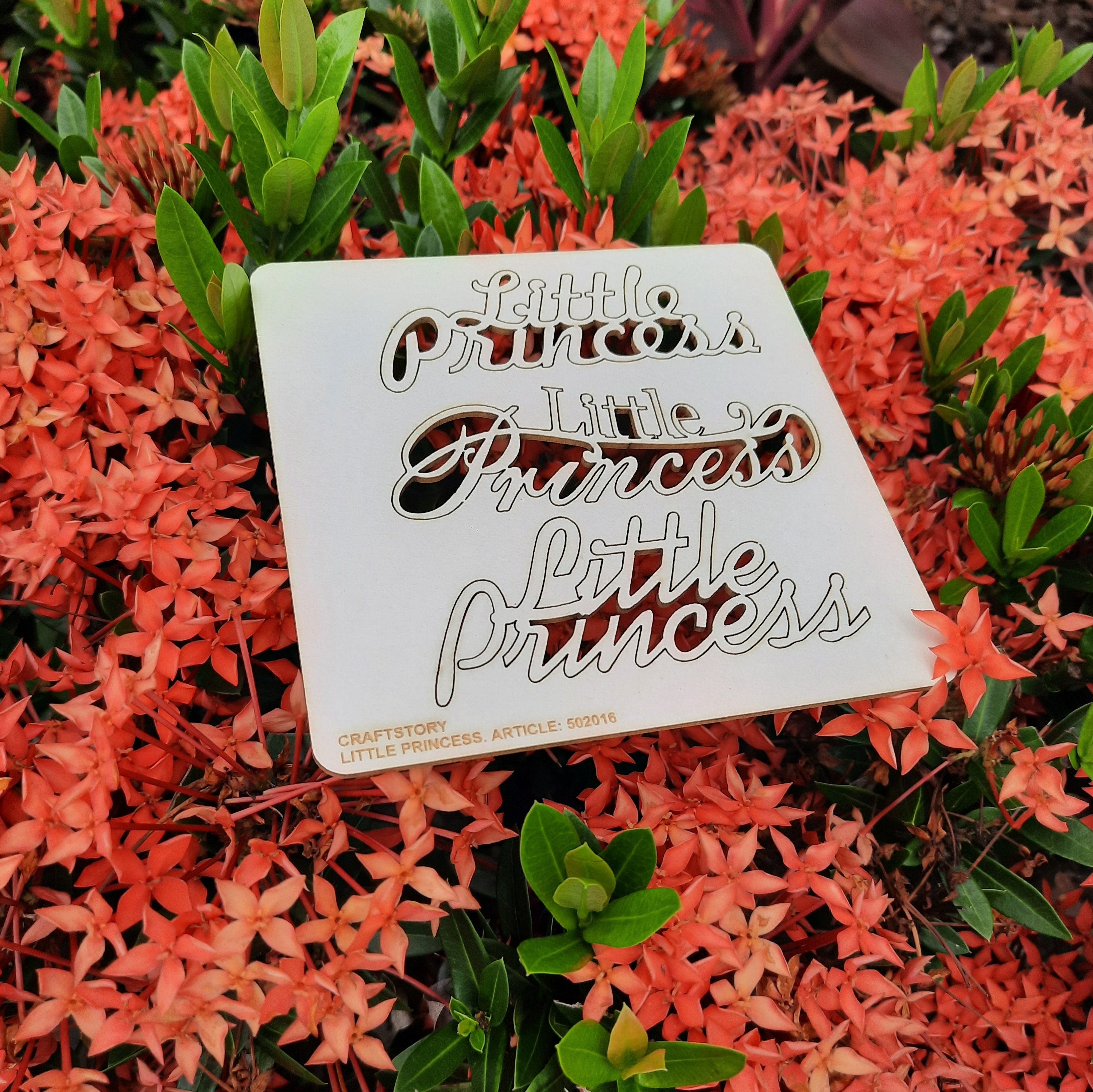 Laser Cut Chipboard - Little princess - inscription. Embellishments for Card Making, Scrapbooking and Crafting